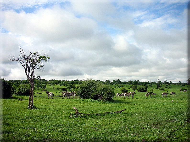 foto Parco nazionale del Chobe